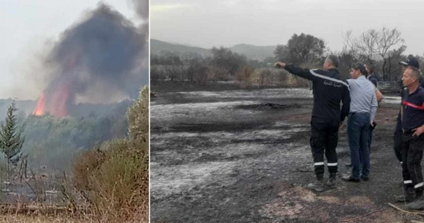 Jendouba : Les pompiers interviennent pour maîtriser un incendie à Tabarka