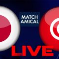 Tunisie vs Japon en live streaming : match amical 2023