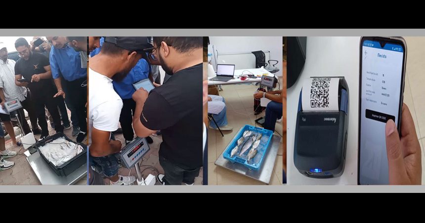 Blockchain Mare Nostrum pour une pêche durable en Sicile et à Bizerte