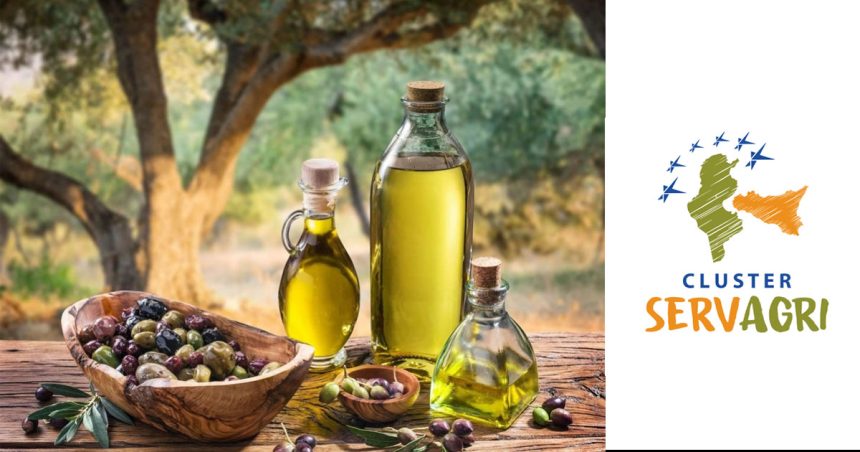 Conférence à Tunis : pour une filière oléicole méditerranéenne durable