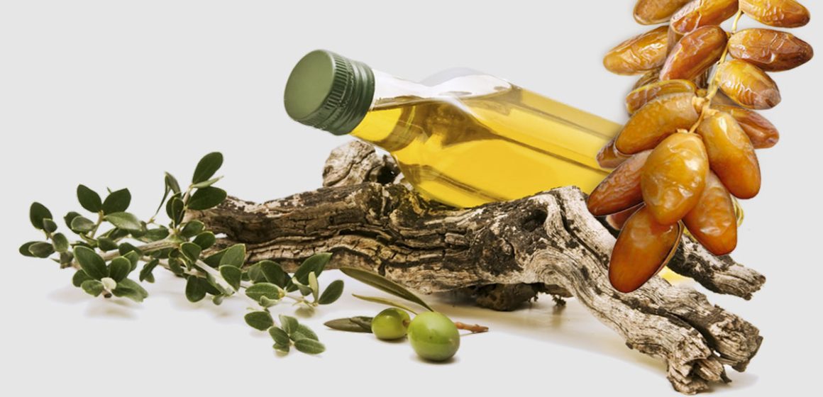 Hausse des recettes des exportations de dattes et d’huile d’olive tunisiennes