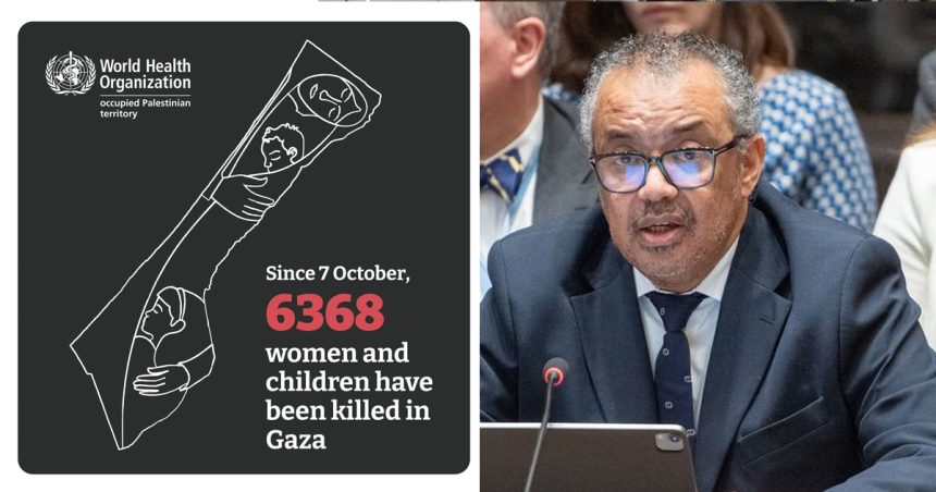 L’horreur à Gaza : «La situation sur le terrain est impossible à décrire» (Conseil de sécurité)