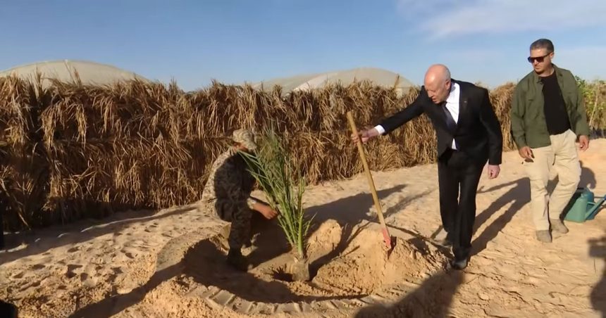 Kaïs Saïed : «La Tunisie restera verte et sera encore plus verdoyante» (Vidéo)