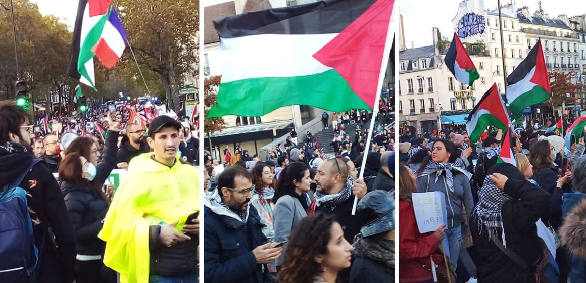 Manifestation pro-Palestine et anti-Israël à Paris (photos)  