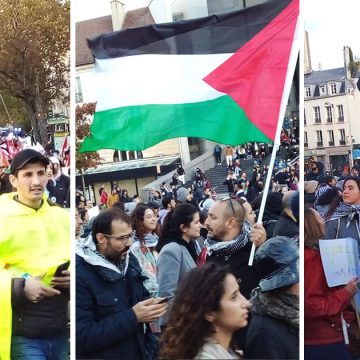 Manifestation pro-Palestine et anti-Israël à Paris (photos)  