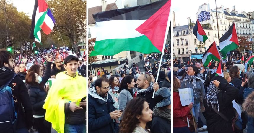 Manifestation pro-Palestine et anti-Israël à Paris (photos)  