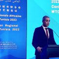 La Tunisie espère doubler le nombre de touristes chinois en 2024  