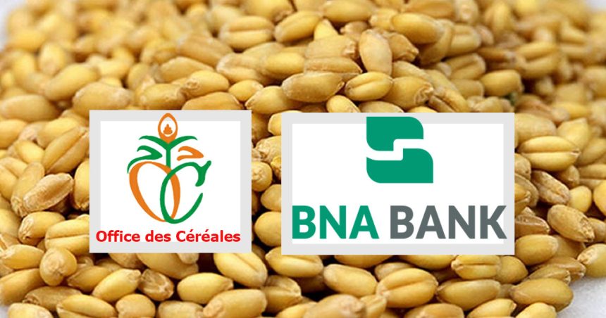 La dette de l’OdC à la BNA représente 3,8% du PIB de la Tunisie  