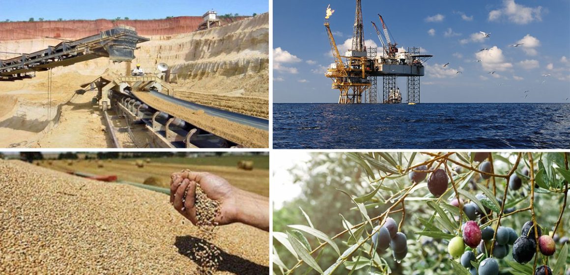 Tunisie : chute de la production minière, énergétique et agricole  