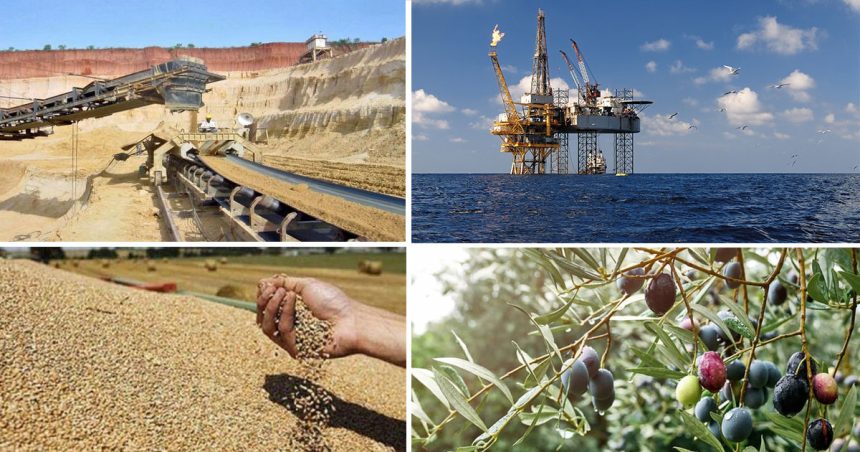 Tunisie : chute de la production minière, énergétique et agricole  