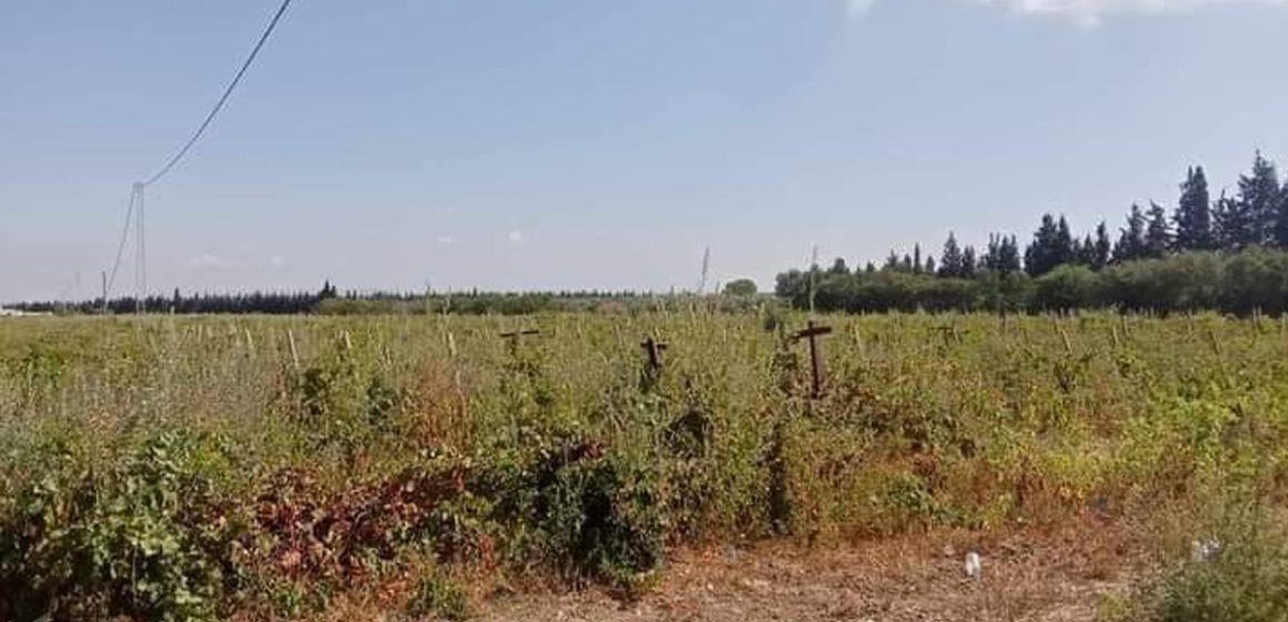 Nabeul : Récupération d’une terre domaniale agricole d’une superficie de 10 hectares