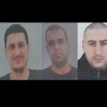Tunisie : des loups terroristes dans la bergerie  