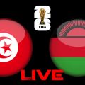 Tunisie vs Malawi en live streaming : Éliminatoires Coupe du Monde