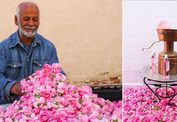 Senteurs florales des régions tunisiennes : le savoir-faire ancestral au goût du jour