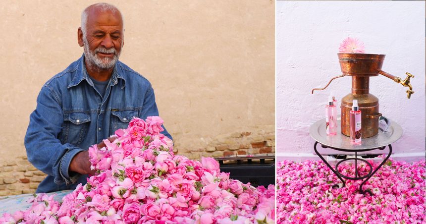Senteurs florales des régions tunisiennes : le savoir-faire ancestral au goût du jour