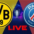 Dortmund vs PSG en live streaming : Ligue des Champions 2023-2024