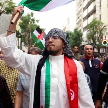 Impact de la guerre de Gaza sur l’opinion tunisienne
