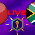 Maroc vs Afrique du Sud en live streaming : CAN2024