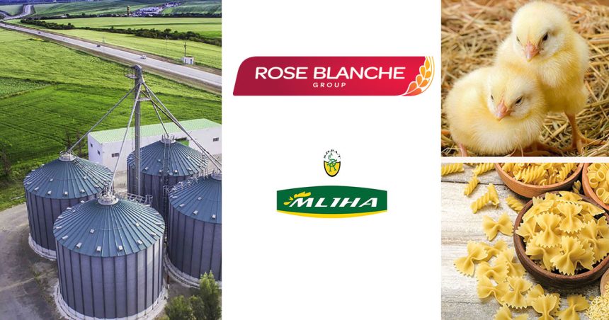 Tunisie : saisie sur les comptes bancaires du groupe La Rose Blanche