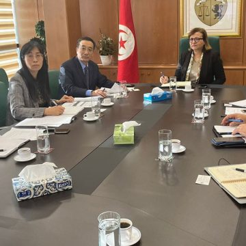 Tunisie : une entreprise chinoise s’intéresse au site minier de Sra Ouertane