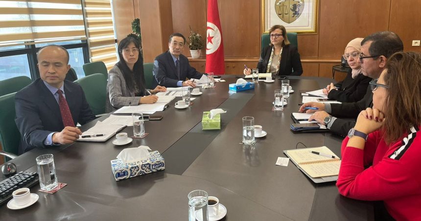 Tunisie : une entreprise chinoise s’intéresse au site minier de Sra Ouertane