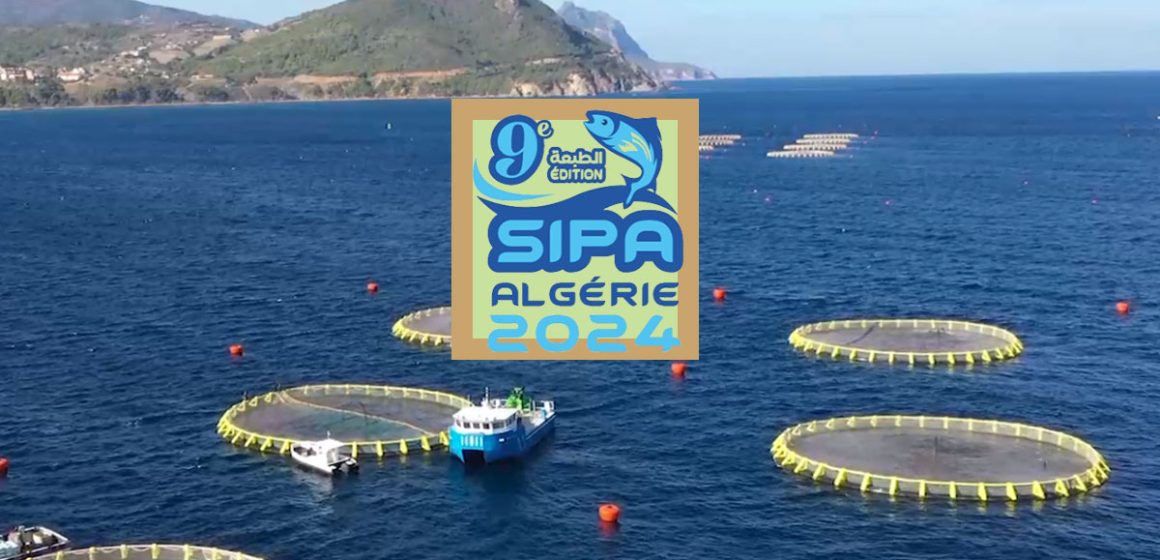 Pêche : rencontres tuniso-algériennes à Oran