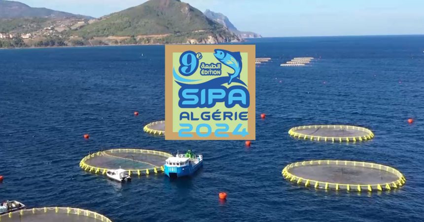 Pêche : rencontres tuniso-algériennes à Oran