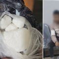 Trafic de cocaïne : Un dealer arrêté à El-Mhamdia