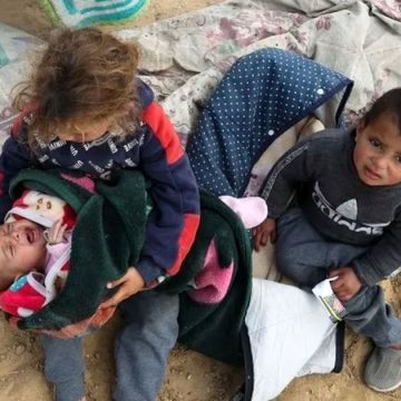 Enfants à Gaza : pourquoi n’arrêtons-nous pas les morts ?