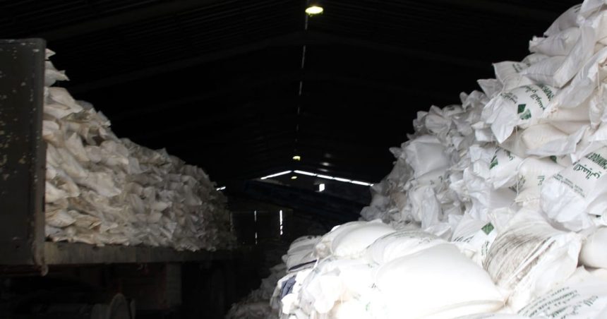 La Tunisie a ensemencé 940 000 hectares de céréales