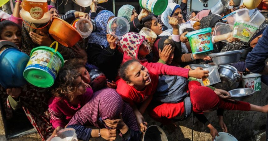 Guerre, famine et épidémies : aggravation de la tragédie humanitaire à Gaza