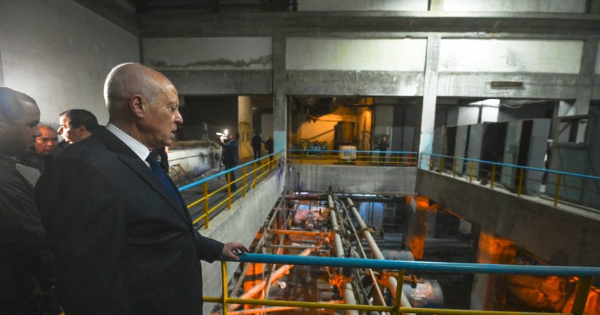 Tunisie : Kaïs Saïed réitère sa position hostile à la privatisation