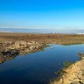Les lagunes tunisiennes affectées par la sécheresse et l’urbanisation chaotique