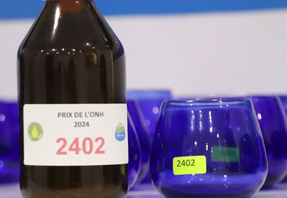 Tunisie : les lauréats du 7e Concours de la meilleure huile d’olive extra vierge