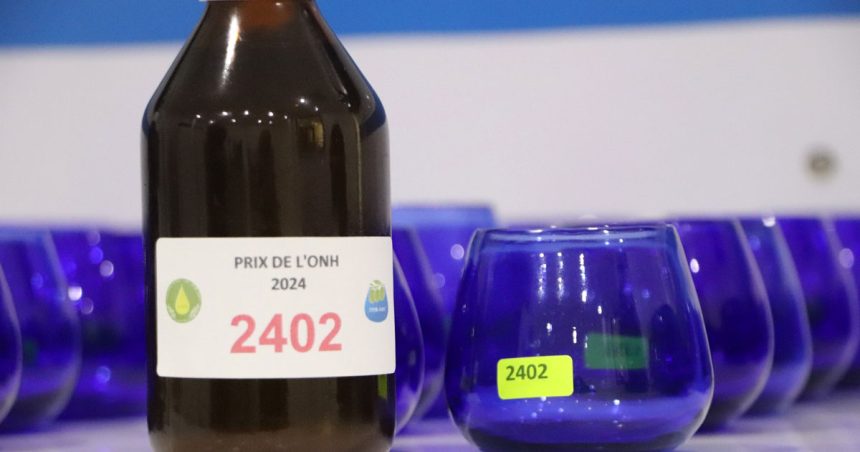 Tunisie : les lauréats du 7e Concours de la meilleure huile d’olive extra vierge