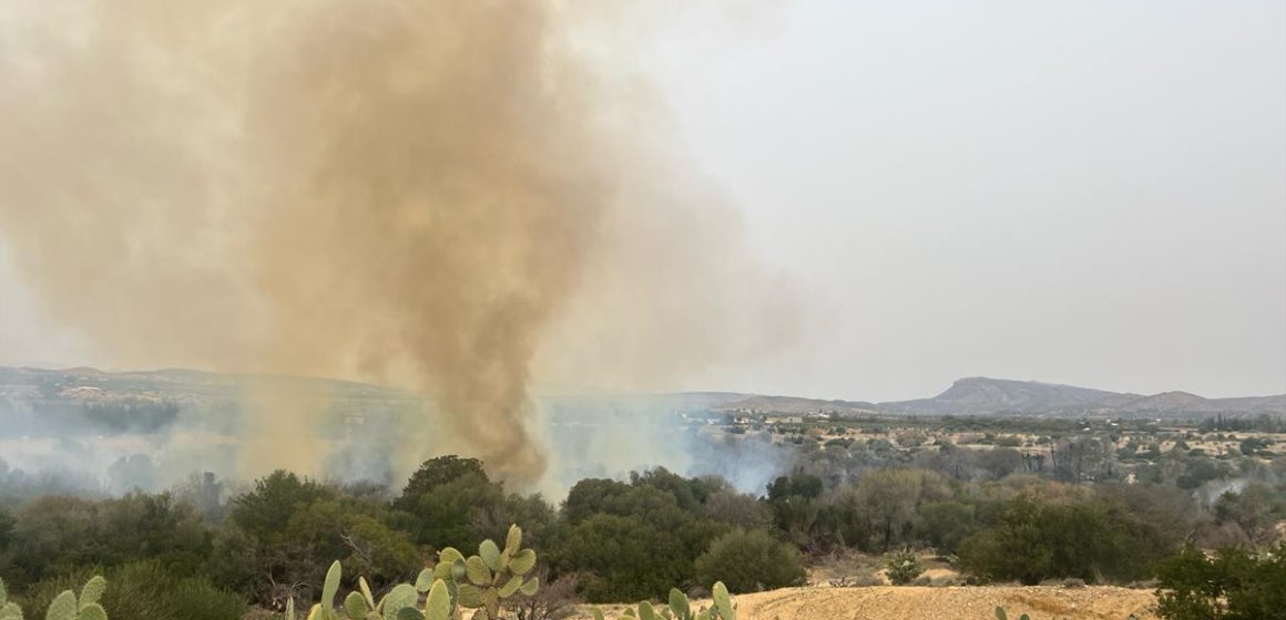Kairouan : Plus de 11 hectares ravagés par deux incendies à Haffouz