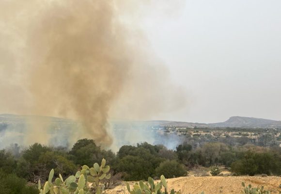 Kairouan : Plus de 11 hectares ravagés par deux incendies à Haffouz