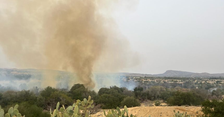 Kairouan : Plus de 11 hectares ravagés par deux incendies à Haffouz