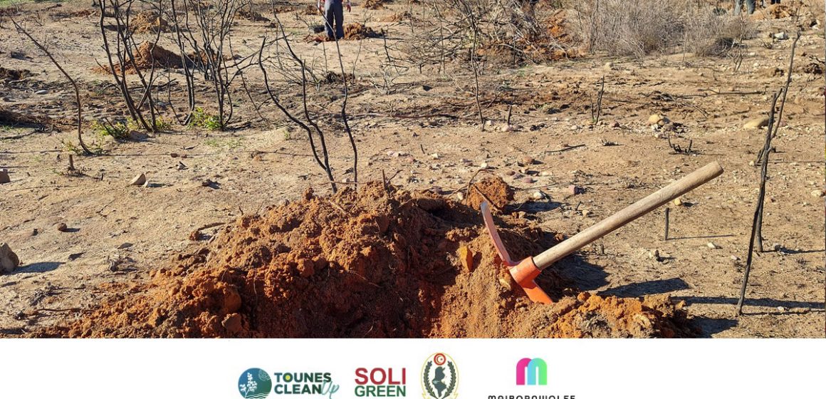 Siliana : Action de reboisement à Bargou by Soli&Green et Tounes Clean Up