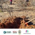 Siliana : Action de reboisement à Bargou by Soli&Green et Tounes Clean Up