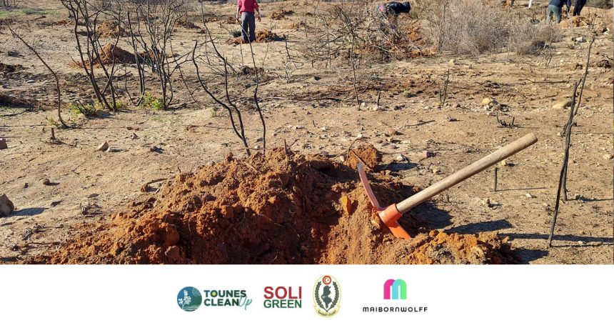 Siliana : Action de reboisement à Bargou by Soli&Green et Tounes Clean Up