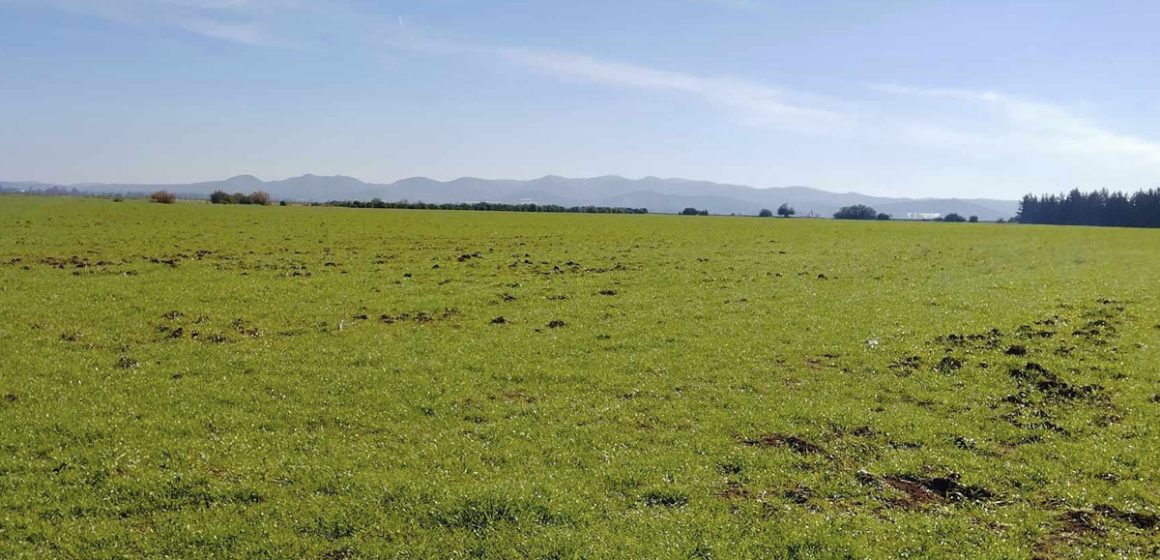 Manouba : Récupération de terres domaniales agricoles d’une superficie de 10 hectares