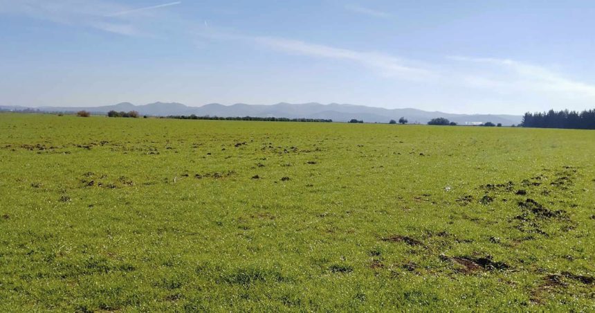 Manouba : Récupération de terres domaniales agricoles d’une superficie de 10 hectares