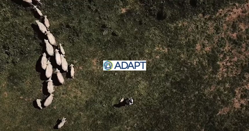 Adapt Invest : un fonds d’appui à l’agriculture et la pêche durables en Tunisie