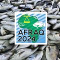 Aquaculture : Hammamet accueillera la conférence Afraq24