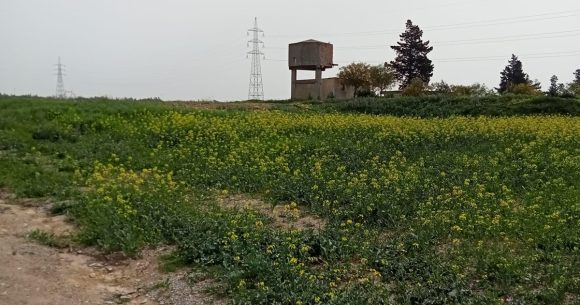 Nabeul : Récupération d’une terre domaniale agricole d’une superficie de 56 hectares