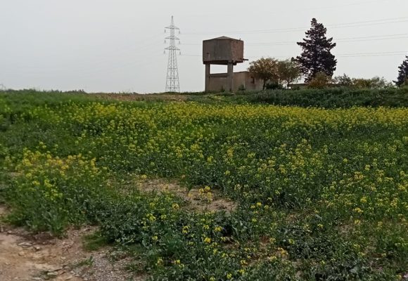 Nabeul : Récupération d’une terre domaniale agricole d’une superficie de 56 hectares