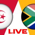 Algérie vs Afrique du Sud en live streaming : match amical 2024