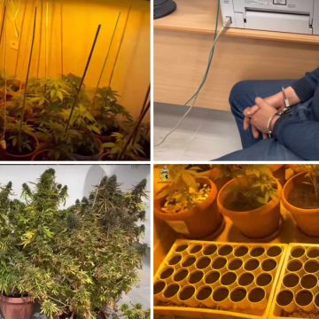 Arrestation d’un individu qui cultivait des plants de marijuana chez lui à Soliman (Photos)