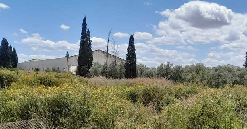 Ben Arous : Récupération d’une terre domaniale agricole de à Fouchana